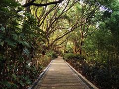 -同里国家湿地公园