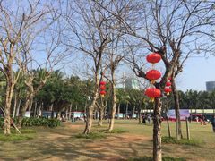 -万绿园