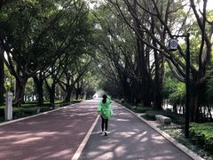 -南宁南湖公园