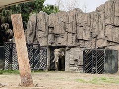 -成都动物园