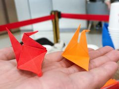 -海底捞火锅(宝龙广场夜宵主题店)