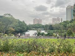 -鲁迅公园-垂钓中心