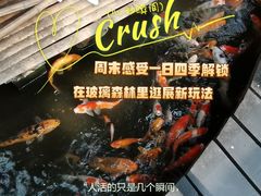 -上海大自然野生昆虫馆(东方明珠·爬宠昆虫探索中心)
