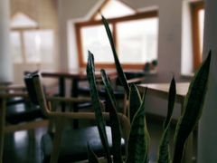 -ChanDu躔度咖啡(灯塔店)