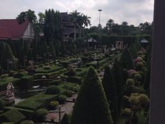 iphone_upload_pic-东芭乐园