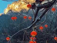 -黑龙潭风景区