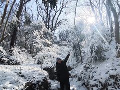 -紫金山山顶公园