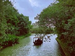 -同里国家湿地公园