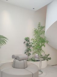 -OAE日式皮肤管理お肌の