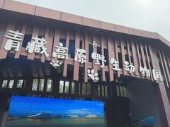 -青藏高原野生动物园