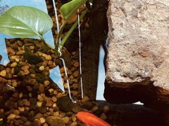 -邈墨茶馆(凤起路店)