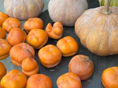 -利云铁锅炖·农家院·团建·民宿(金海湖店)