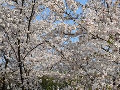 -苏州上方山国家森林公园