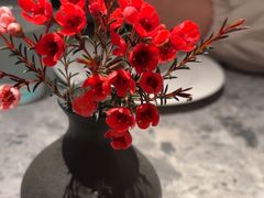 -芭莉与彩虹西餐厅(成都合生汇店)