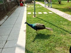 -三块石国家森林公园