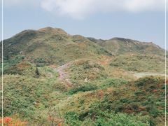-大围山国家森林公园