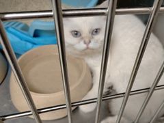 -瑞鹏宠物医院·超声·骨科·奇麟分院(蜀都万达店)