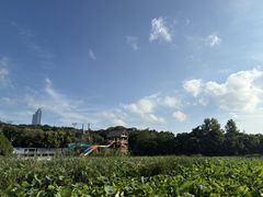 -月湖风景区