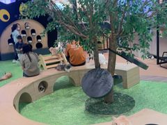 -爪爪喵星球·猫舍(卓悦中心店)