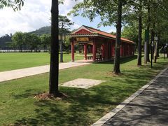 -顺峰山公园