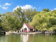 -上海共青森林公园