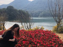 -广州市石门国家森林公园