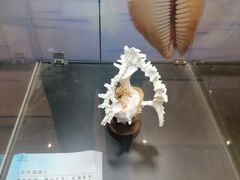 -济南恒隆广场