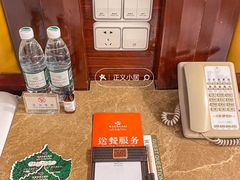 -圣爵菲斯大酒店(长沙世界之窗店)