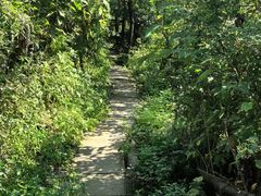 -北京十三陵国家森林公园蟒山景区