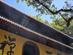 -珞珈山-售票处