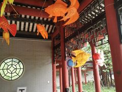 -顺峰山公园