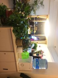 -尚美日式美甲美睫工作室