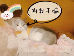 -IFIF 如果花園(宽厚里店)