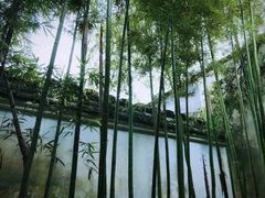 -文儒九号·闽菜馆(三坊七巷店)