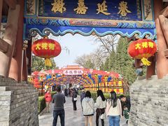 -大槐树寻根祭祖园