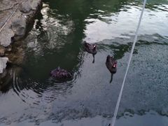 -石燕湖生态旅游景区