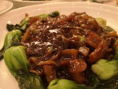 -上海安亭别墅花园酒店