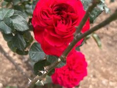 -人民公园(罗湖区)