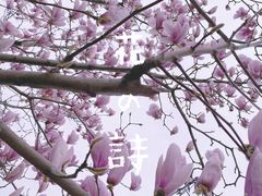 -大连植物园