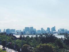 -台场海滨公园船码头