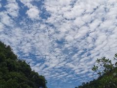 -秦岭风景区
