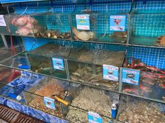 -范饭椰林川湘味海鲜·椰子鸡(三亚湾椰梦长廊店)