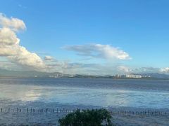 -深圳湾公园(南山区)
