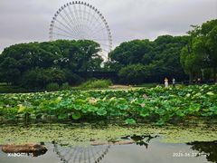 -蠡湖大桥公园