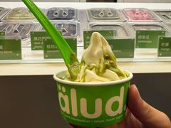 -Salud撒露欧洲冻酸奶(蓝色港湾店)