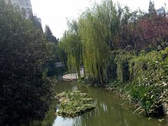 -兰溪青年公园