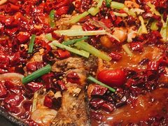 -老板恋上鱼(印象城店)