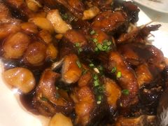 红烧鮰鱼-宏玲餐厅(四川南路店)