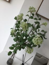 -时光海科学美肤中心