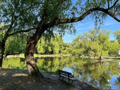 -上海共青森林公园